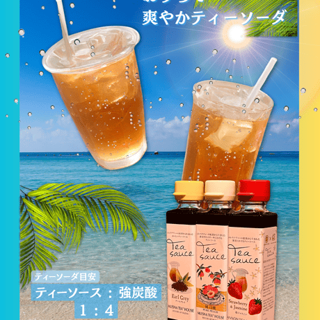 【お買得セット】ティーソース3種6本セット