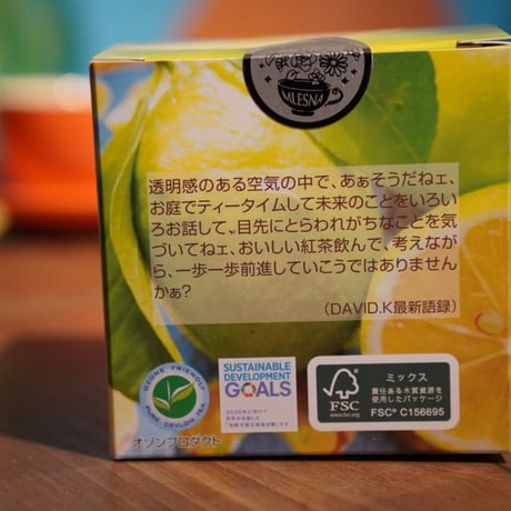【キューブ】レモンサワーサップ