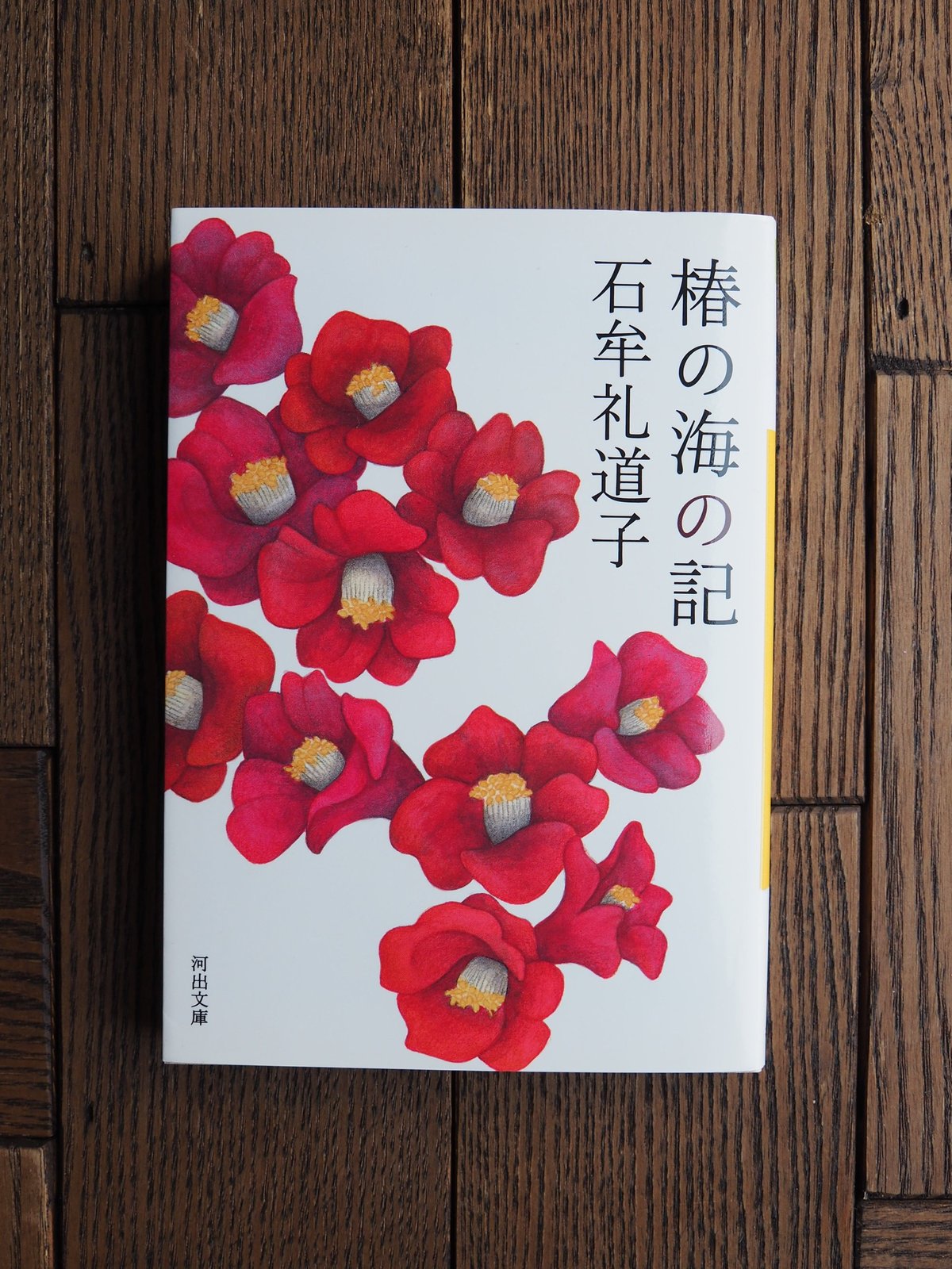 椿の海の記 | 橙書店 WEB SHOP
