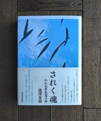 されく魂　わが石牟礼道子抄