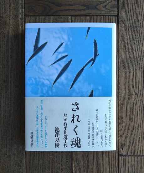 されく魂　わが石牟礼道子抄