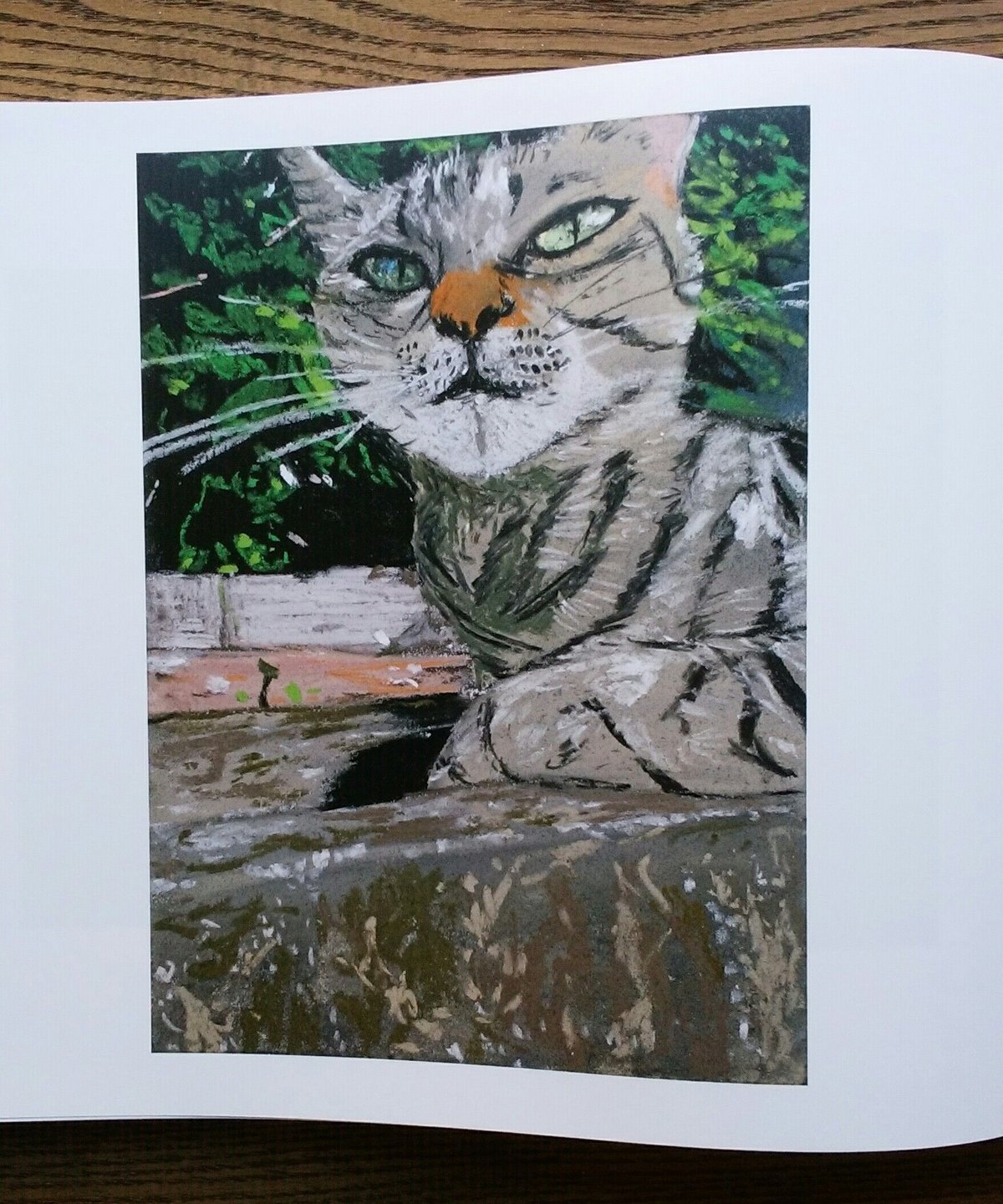 Pastel | 橙書店 WEB SHOP