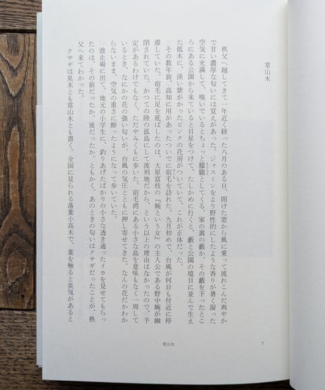 山影の町から