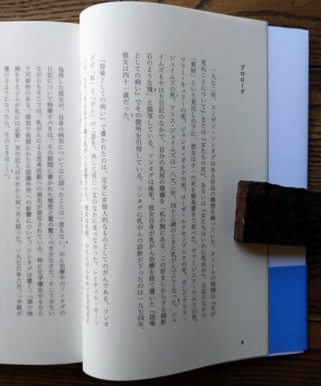 アンダイング ー病を生きる女たちと生きのびられなかった女たちに捧ぐ抵抗の詩学ー