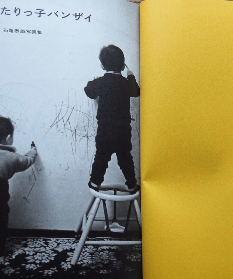 ふたりっ子バンザイ 石亀泰郎写真集 | 橙書店 WEB SHOP