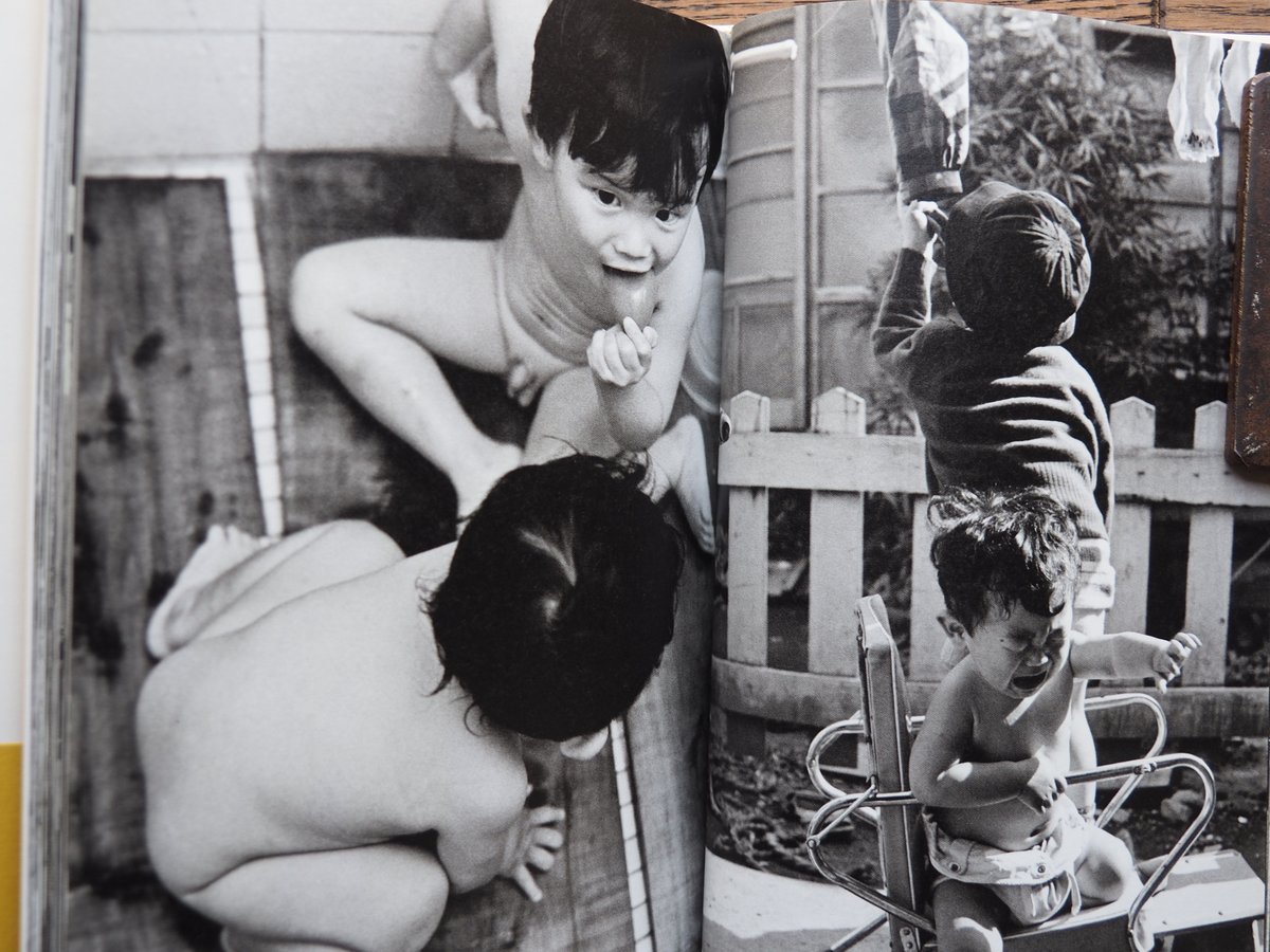 ふたりっ子バンザイ 石亀泰郎写真集 | 橙書店 WEB SHOP