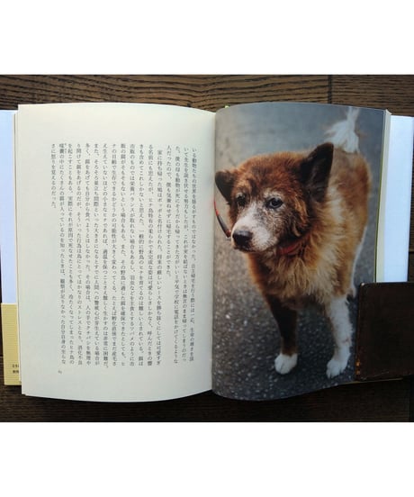 動物たちの家
