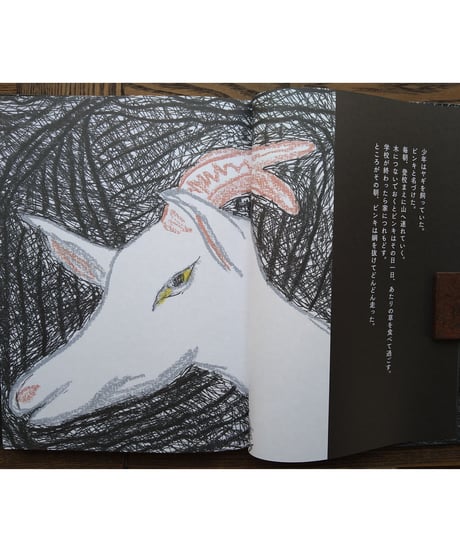 ヤギと少年、洞窟の中へ