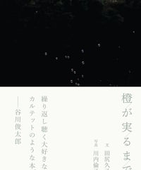 橙が実るまで