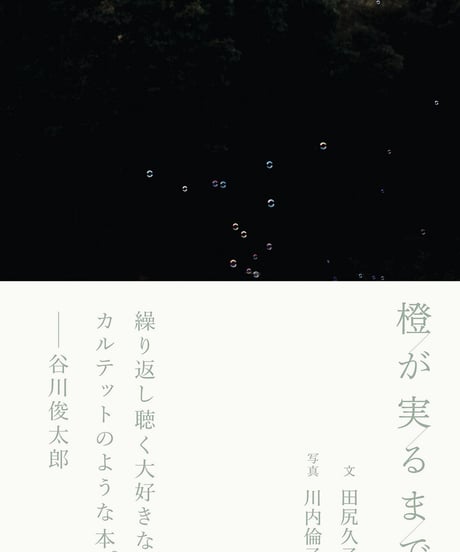 橙が実るまで