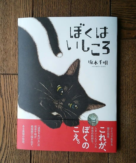 ぼくはいしころ