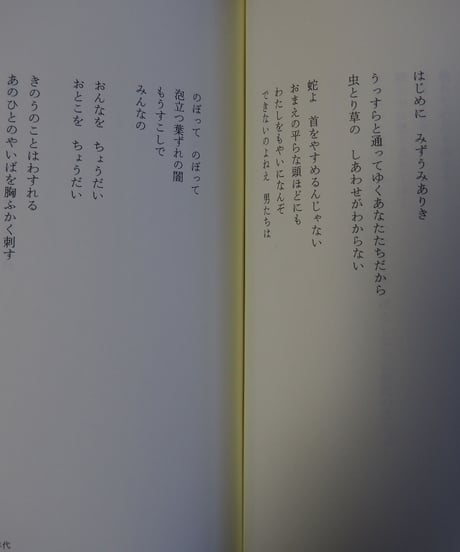 完全版　石牟礼道子全詩集