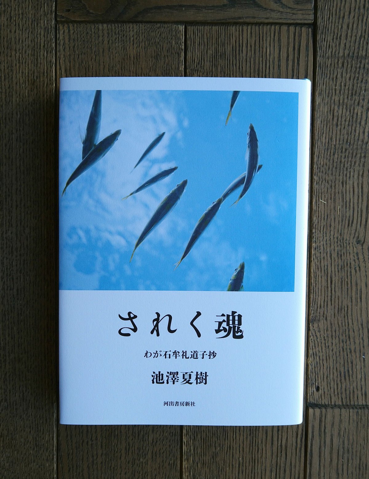 Amazon.co.jp: 絶版 石牟礼道子全集 全14巻 藤原書店 検:苦海 Amazon.co.jp: 絶版 石牟礼道子全集 全14巻 藤原書店 検:苦海