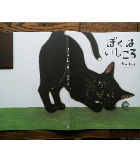 ぼくはいしころ