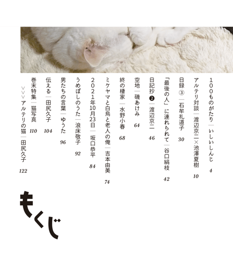 アルテリ　13号