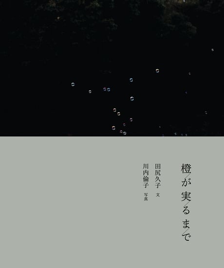 橙が実るまで
