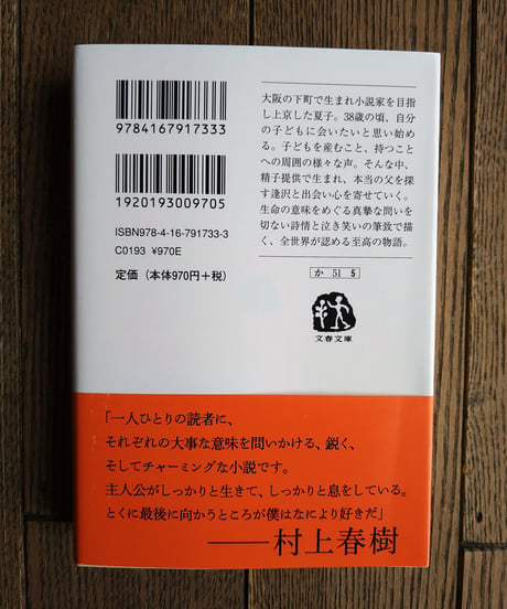 夏物語  （文春文庫）