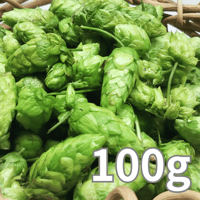 【数量限定】2026年産 手摘み生ホップ品種：ナゲット(100g)