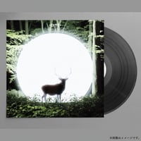 4th Album『Installation』Limited 12"Vinyl
