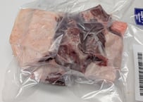 野生の猪肉　脂あり切り落とし550gメス【冷凍】