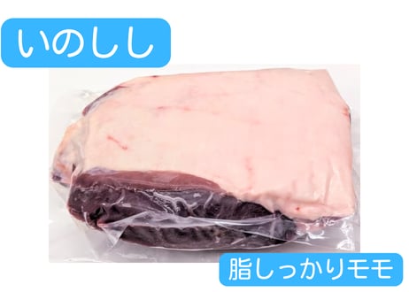 野生の猪肉　脂しっかりモモ【冷凍】