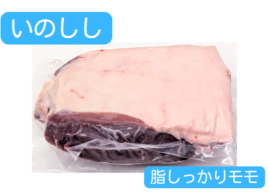 6ac89b2ad255eb5a9230a16b