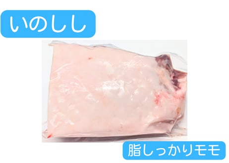 野生の猪肉　脂しっかりモモ【冷凍】