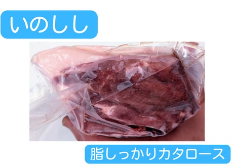 【セール品】野生の猪肉　脂しっかりカタロース750g【冷凍】