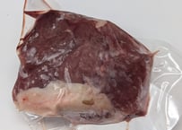 野生の猪肉　赤身モモ100gオス【冷凍】