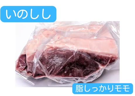 野生の猪肉　脂しっかりモモ【冷凍】