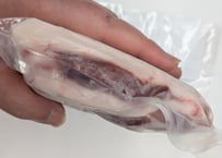 野生の猪肉　脂しっかりバラ650gメス【冷凍】