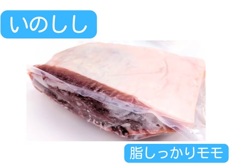 野生の猪肉　脂しっかりモモ【冷凍】