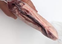 野生の猪肉　脂ほどほどバラ650g メス【冷凍】