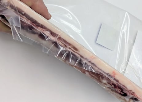 野生の猪肉　脂しっかりバラ500gメス【冷凍】