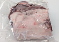 野生の猪肉　脂しっかりカタロース550gメス【冷凍】