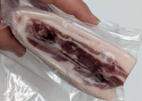野生の猪肉　脂しっかりバラ550gメス【冷凍】