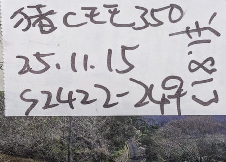 野生の猪肉　赤身モモ350gメス【冷凍】
