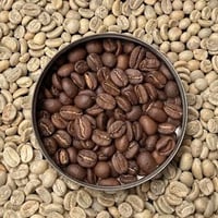 【スペシャルティ】メキシコ SHG シエラ・アスール 100ℊ