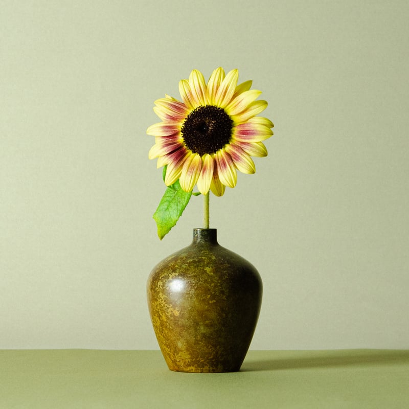 花入 坐 鶯茶 / Flower Vase 
