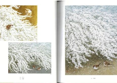 鈴木紀和子　画集