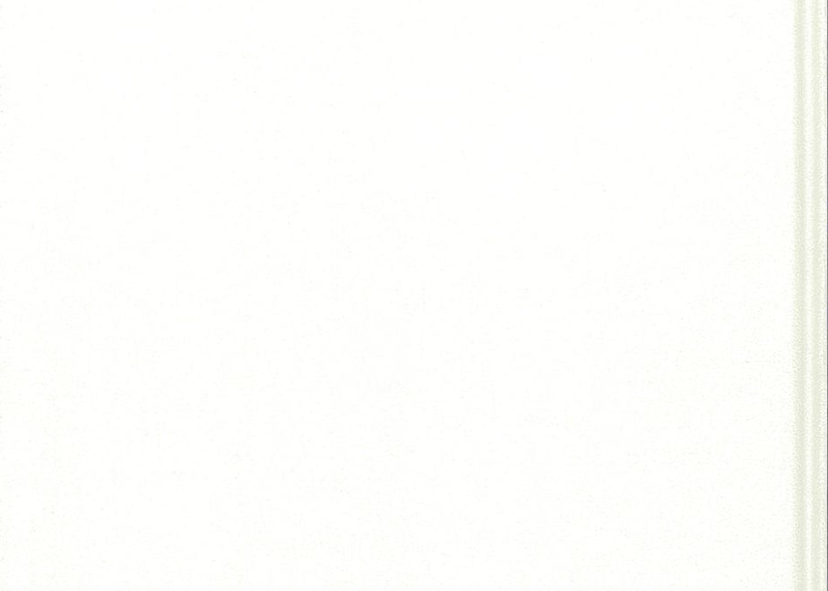 5ec8b46dcee9ea65fef24990