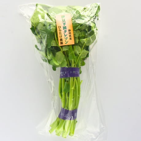 伊豆下田クレソン