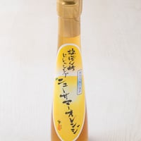 ニューサマードレッシング 塩ぽん酢