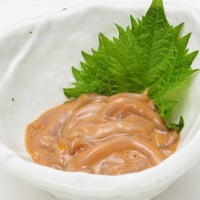 アオリイカ塩辛「いかの王様」