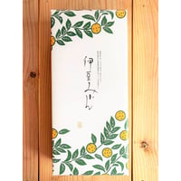 【夏季限定】伊豆みかんゼリー(8個入・5個入)