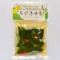 ニューサマーオレンジちびきゅう