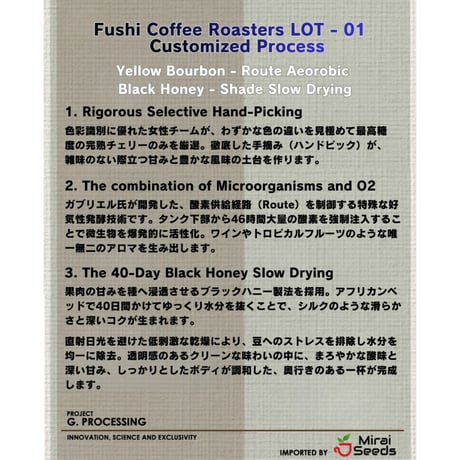 【世界限定120kg】 Yellow Bourbon - BRAZIL / Customized Process - Lot 001