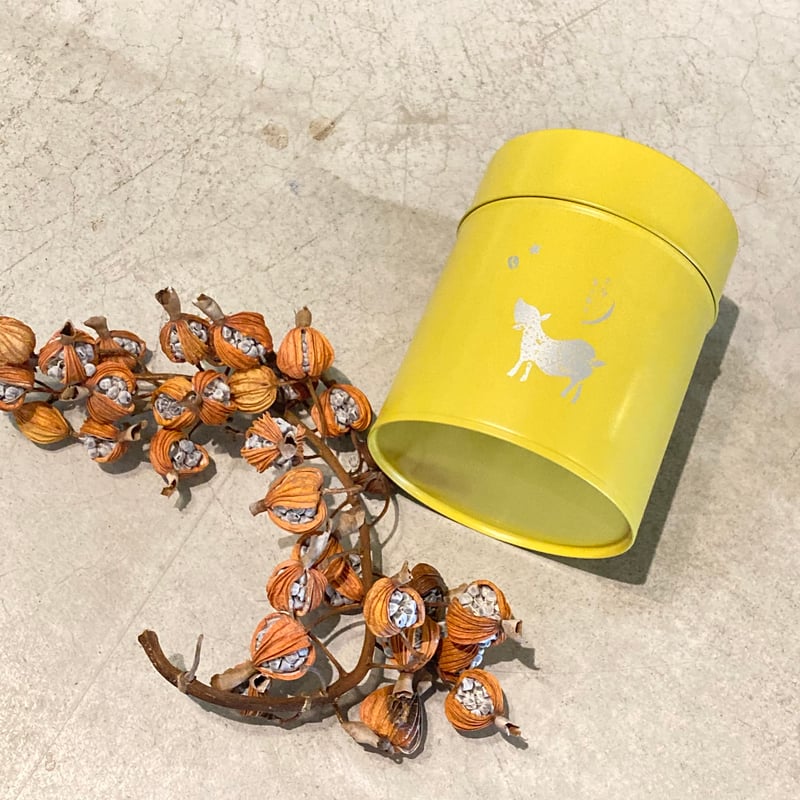 フシのコーヒー缶 | FUSHI COFFEE ROASTERS