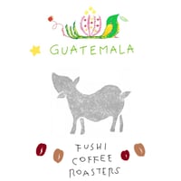 GUATEMALA Esquiplas La Libertad / グアテマラ（中深煎り）