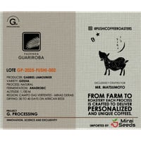 【世界限定120kg】 Guariroba's GEISHA - BRAZIL / Customized Process - Lot 002